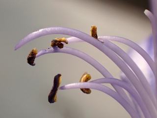 PB251620a.jpg